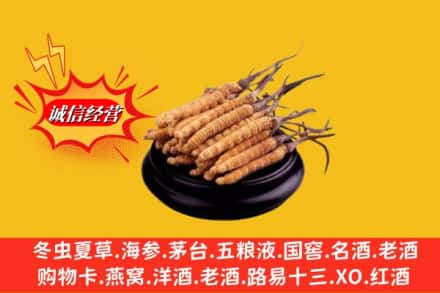 西山区名酒回收冬虫夏草.jpg
